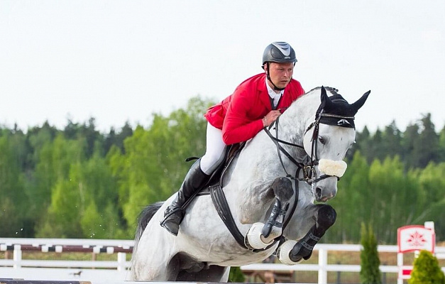 Конные прогулки в Воронеже. Подарочные сертификаты Ultra Подарки. Купить оригинальный подарок или подарочный сертификат на Конные прогулки в Воронеже. Сервис UltraPodarki.ru 8-800-505-9530. Катание на лошадях, Прогулка на лошади, Прогулка на лошадях для двоих, Конные прогулки, конный клуб, Конный клуб, конная прогулка, конная прогулка в Воронеже