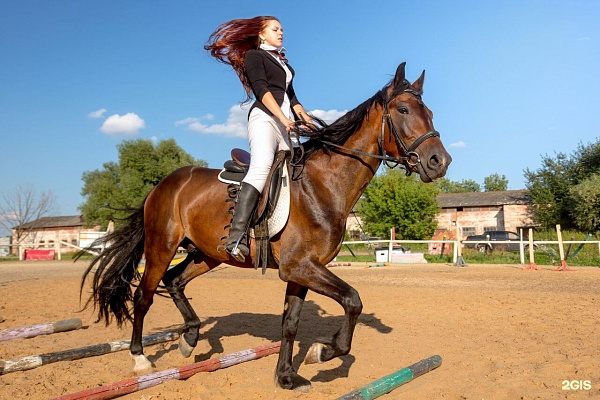 Конная прогулка  в Воронеже. Подарочные сертификаты Ultra Подарки. Купить оригинальный подарок или подарочный сертификат на Конная прогулка  в Воронеже. Сервис UltraPodarki.ru 8-800-505-9530. Катание на лошадях, Прогулка на лошади, Прогулка на лошадях для двоих, Конная прогулка , конный клуб, Конный клуб, конная прогулка, конная прогулка в Воронеже