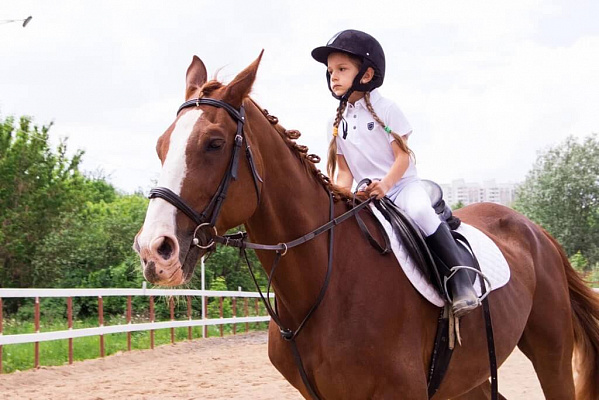 Конные прогулки в Воронеже. Подарочные сертификаты Ultra Подарки. Купить оригинальный подарок или подарочный сертификат на Конные прогулки в Воронеже. Сервис UltraPodarki.ru 8-800-505-9530. Катание на лошадях, Прогулка на лошади, Прогулка на лошадях для двоих, Конные прогулки, конный клуб, Конный клуб, конная прогулка, конная прогулка в Воронеже