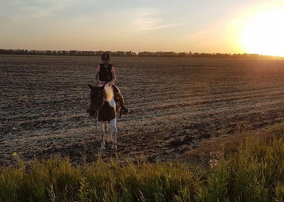 Конные прогулки в Воронеже. Подарочные сертификаты Ultra Подарки. Купить оригинальный подарок или подарочный сертификат на Конные прогулки в Воронеже. Сервис UltraPodarki.ru 8-800-505-9530. Катание на лошадях, Прогулка на лошади, Прогулка на лошадях для двоих, Конные прогулки, конный клуб, Конный клуб, конная прогулка, конная прогулка в Воронеже