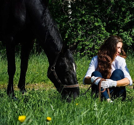 Конная прогулка  в Воронеже. Подарочные сертификаты Ultra Подарки. Купить оригинальный подарок или подарочный сертификат на Конная прогулка  в Воронеже. Сервис UltraPodarki.ru 8-800-505-9530. Катание на лошадях, Прогулка на лошади, Прогулка на лошадях для двоих, Конная прогулка , конный клуб, Конный клуб, конная прогулка, конная прогулка в Воронеже