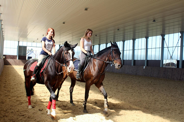 Конная прогулка  в Воронеже. Подарочные сертификаты Ultra Подарки. Купить оригинальный подарок или подарочный сертификат на Конная прогулка  в Воронеже. Сервис UltraPodarki.ru 8-800-505-9530. Катание на лошадях, Прогулка на лошади, Прогулка на лошадях для двоих, Конная прогулка , конный клуб, Конный клуб, конная прогулка, конная прогулка в Воронеже