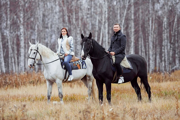 Конная прогулка  в Воронеже. Подарочные сертификаты Ultra Подарки. Купить оригинальный подарок или подарочный сертификат на Конная прогулка  в Воронеже. Сервис UltraPodarki.ru 8-800-505-9530. Катание на лошадях, Прогулка на лошади, Прогулка на лошадях для двоих, Конная прогулка , конный клуб, Конный клуб, конная прогулка, конная прогулка в Воронеже