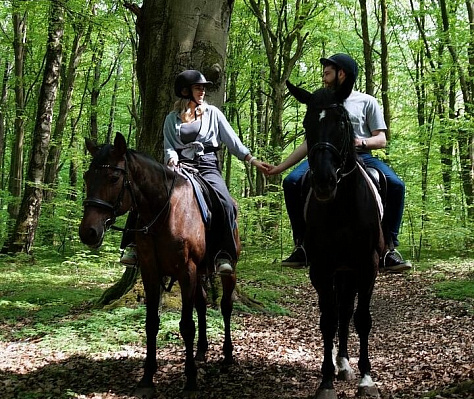 Конная прогулка  в Воронеже. Подарочные сертификаты Ultra Подарки. Купить оригинальный подарок или подарочный сертификат на Конная прогулка  в Воронеже. Сервис UltraPodarki.ru 8-800-505-9530. Катание на лошадях, Прогулка на лошади, Прогулка на лошадях для двоих, Конная прогулка , конный клуб, Конный клуб, конная прогулка, конная прогулка в Воронеже