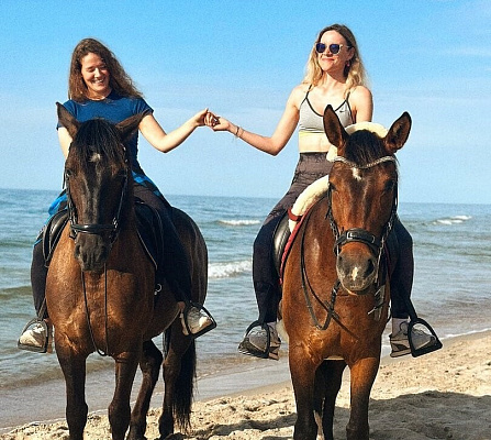 Конная прогулка  в Воронеже. Подарочные сертификаты Ultra Подарки. Купить оригинальный подарок или подарочный сертификат на Конная прогулка  в Воронеже. Сервис UltraPodarki.ru 8-800-505-9530. Катание на лошадях, Прогулка на лошади, Прогулка на лошадях для двоих, Конная прогулка , конный клуб, Конный клуб, конная прогулка, конная прогулка в Воронеже