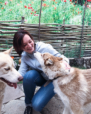 Катание на хаски в Воронеже. Ultra Подарки. Катание на хаски в Воронеже. Попробуйте Катание на хаски. Сервис: UltraPodarki.ru 8 800 505 95 30. Катание на хаски Воронеж, Катание на хаски в Воронеже, хаски, животные в Воронеже, 