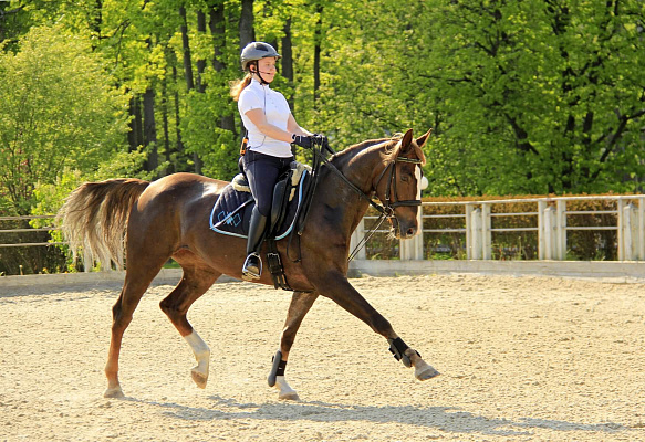 Конные прогулки в Воронеже. Подарочные сертификаты Ultra Подарки. Купить оригинальный подарок или подарочный сертификат на Конные прогулки в Воронеже. Сервис UltraPodarki.ru 8-800-505-9530. Катание на лошадях, Прогулка на лошади, Прогулка на лошадях для двоих, Конные прогулки, конный клуб, Конный клуб, конная прогулка, конная прогулка в Воронеже