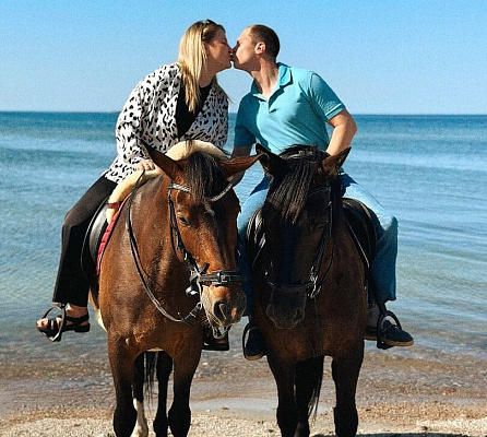 Конная прогулка  в Воронеже. Подарочные сертификаты Ultra Подарки. Купить оригинальный подарок или подарочный сертификат на Конная прогулка  в Воронеже. Сервис UltraPodarki.ru 8-800-505-9530. Катание на лошадях, Прогулка на лошади, Прогулка на лошадях для двоих, Конная прогулка , конный клуб, Конный клуб, конная прогулка, конная прогулка в Воронеже